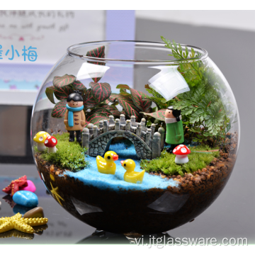 Các loại khác nhau Bình thủy tinh trong nhà trong suốt Terrarium